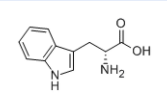 供应D-色氨酸D-(+-Tryptophan153-94-6