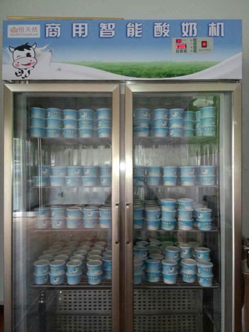 全自动智能酸奶机商用酸奶机种类冷藏一体全自动酸奶机