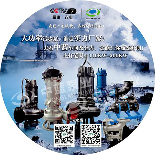 WQ污水污物潜水电泵厂家价格