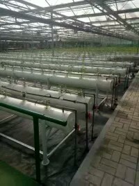 花卉温室 透明覆盖材料钢结构骨架花卉养殖农业观光温室大棚 花卉市场温室大棚