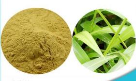厂家供应药食同源淡竹叶浓缩粉，淡竹叶提取物