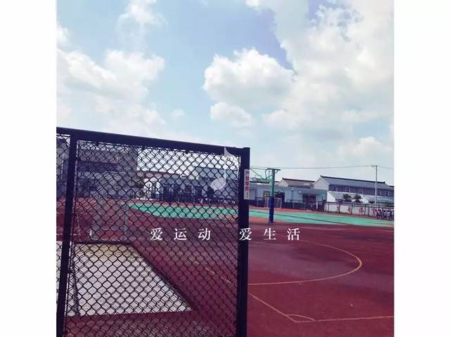 专业生产学校篮球场镀锌勾花护栏网-球场围网安装与设计图片