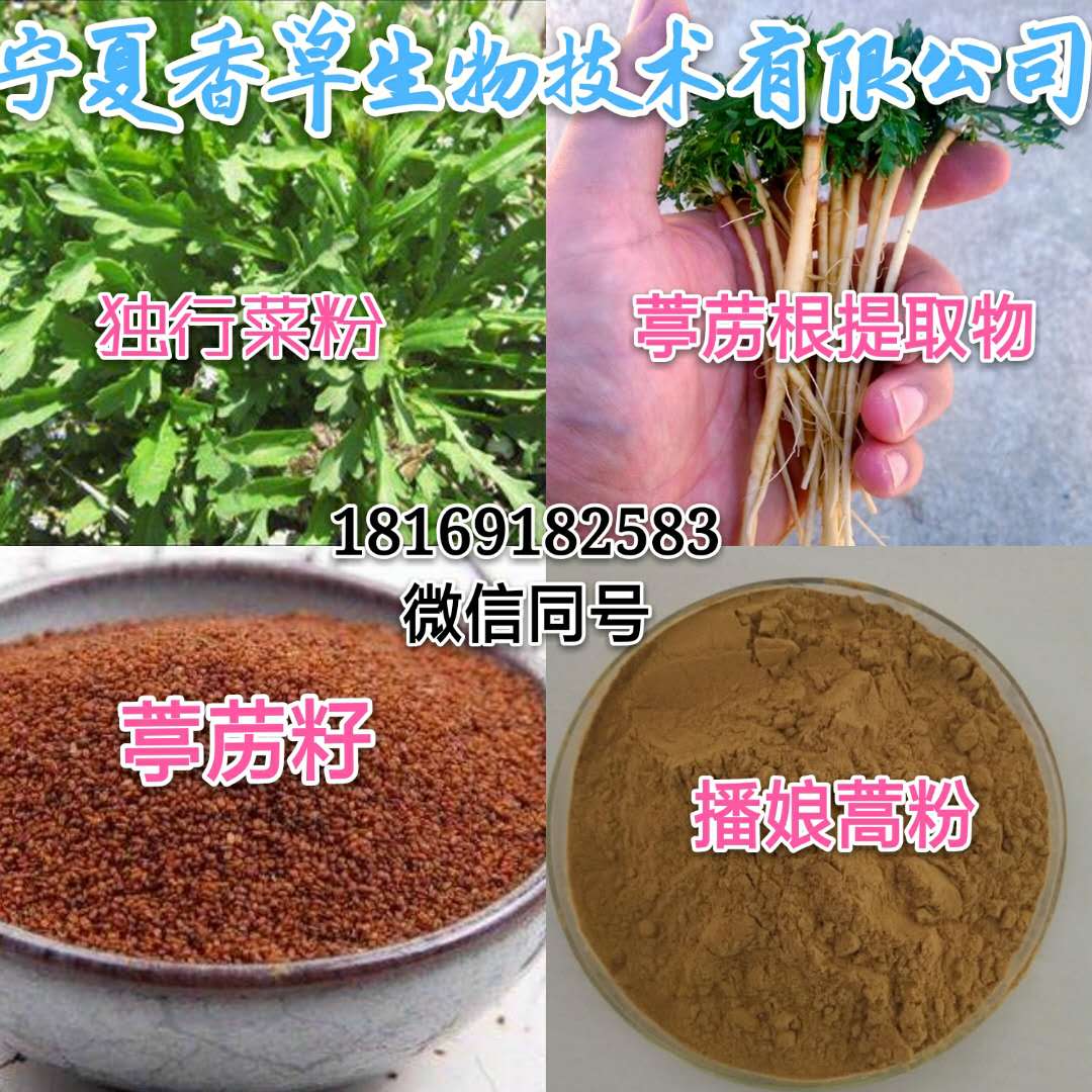 腺茎独行菜提取物 葶苈籽粉批发