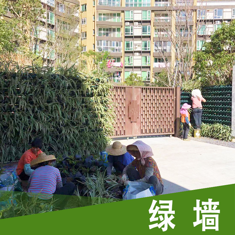 广州绿化墙工程-施工报价价格电话多少