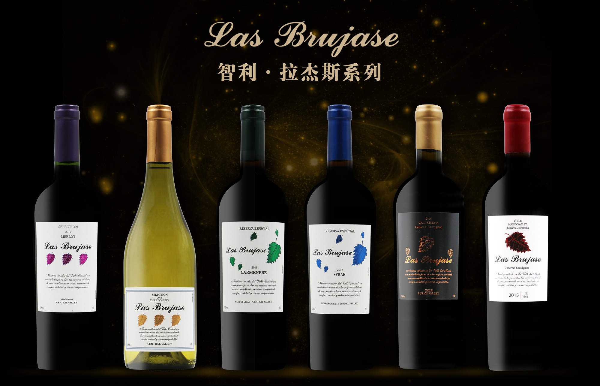 上海樽杰 智利进口拉杰斯系列葡萄酒招商加盟代理图片