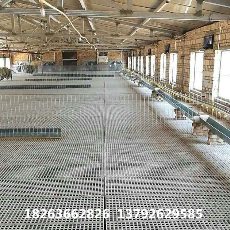 潍坊市鸭用漏粪板 养鸡用塑料漏粪地板厂家