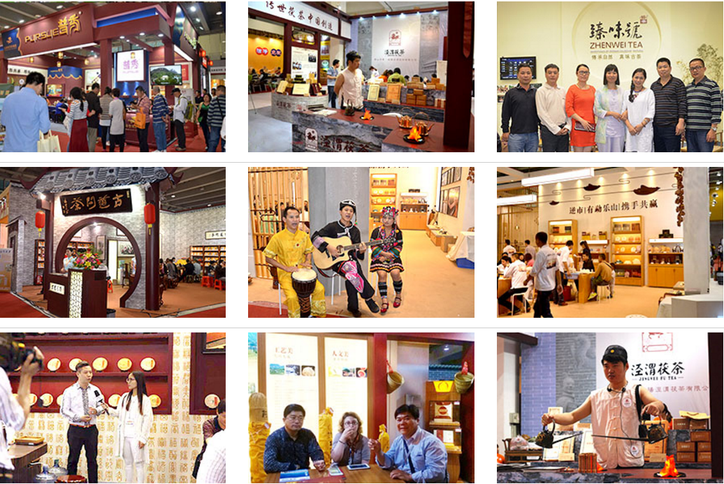 2024上海国际茶叶秋季博览会 2024上海国际茶叶秋季博览会