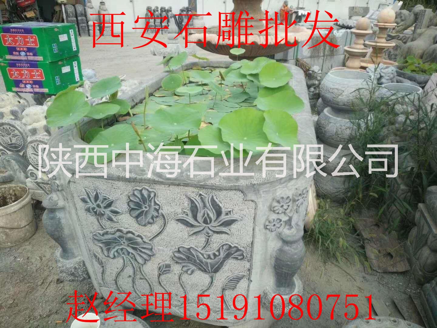 宝鸡石雕狮子批发/厂家价格/宝鸡石雕批发市场商家图片