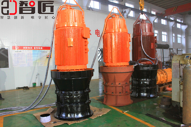 潜水轴流泵-大型综合性泵业公司-性能可靠-整机质保找天津智匠泵业图片
