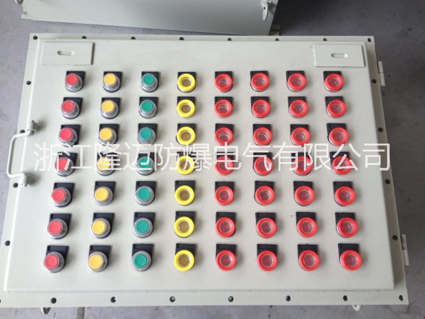 粉尘气体防护IP65化工厂棚壁挂式防爆仪表箱图片