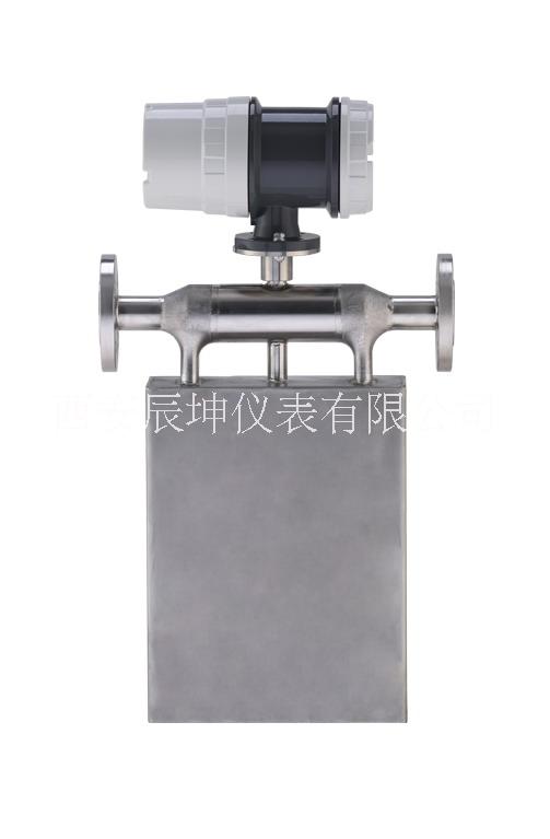 微小流量质量流量计 西安厂家辰坤仪表高精度测量仪表 微小流量质量流量计