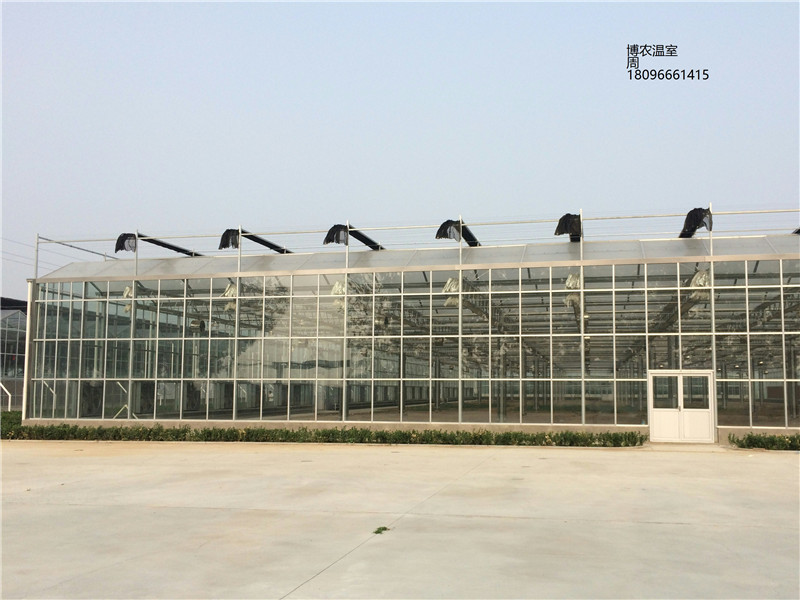 安徽智能玻璃温室连栋大棚价格300元一平方厂家直供