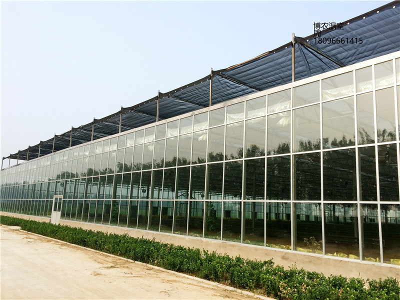 供应玻璃温室连栋温室大棚阳光板温室智能薄膜连栋温室温室设计、安装、建造 玻璃连栋温室