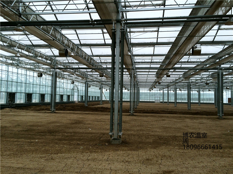 合肥市智能玻璃温室厂家安徽智能玻璃温室连栋大棚价格300元一平方厂家直供