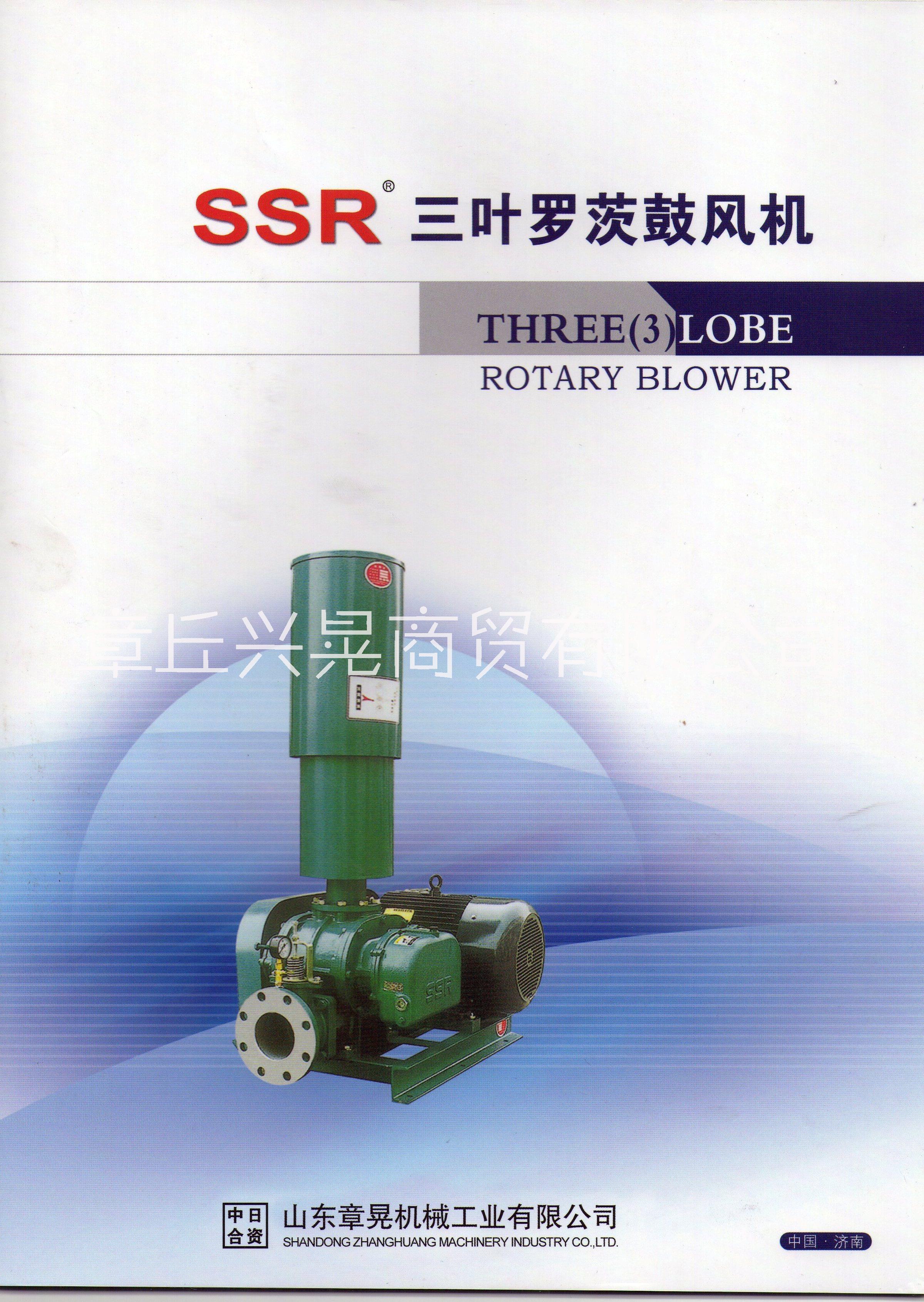 供应SSR-HB高压罗茨鼓风机 罗茨真空泵 负压风机 旋转供料器