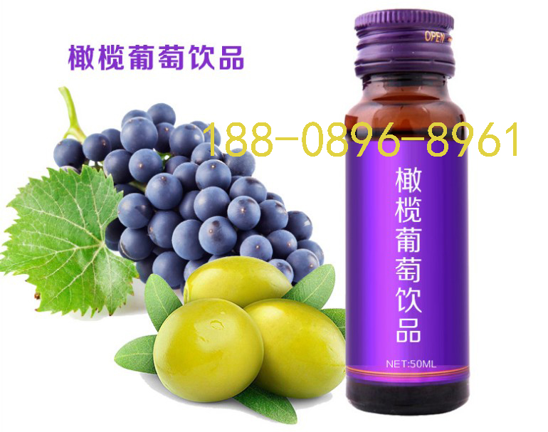 上海市蓝莓酵素果汁饮品厂家小规格蓝莓酵素果汁饮品OEM|蓝莓原浆提取代加工工厂​
