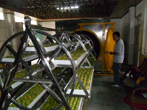 广州市罗汉果微波真空低温干燥机厂家罗汉果微波真空低温干燥机