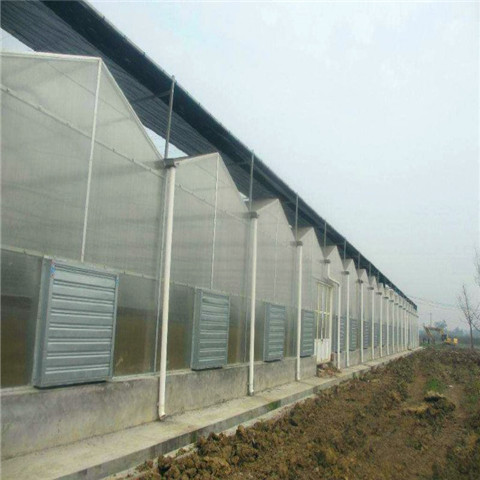 潍坊市阳光板温室,阳光板温室厂家厂家阳光板温室,阳光板温室厂家服务