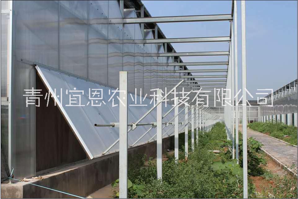 泰安阳光板温室、阳光板温室厂家