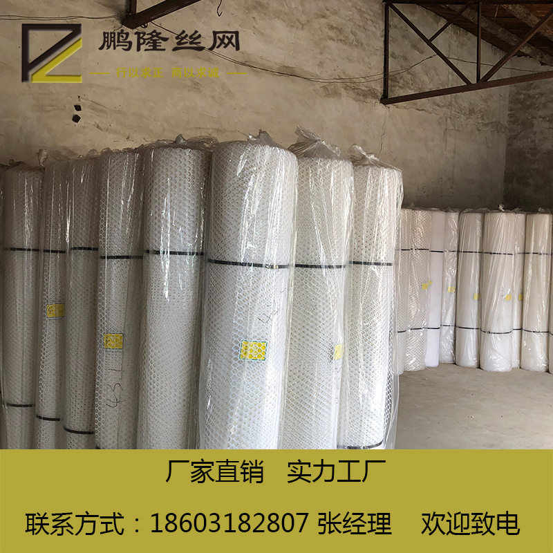 河北鹏隆丝网 厂家现货供应 养殖塑料平网 0.2小孔径塑料平网
