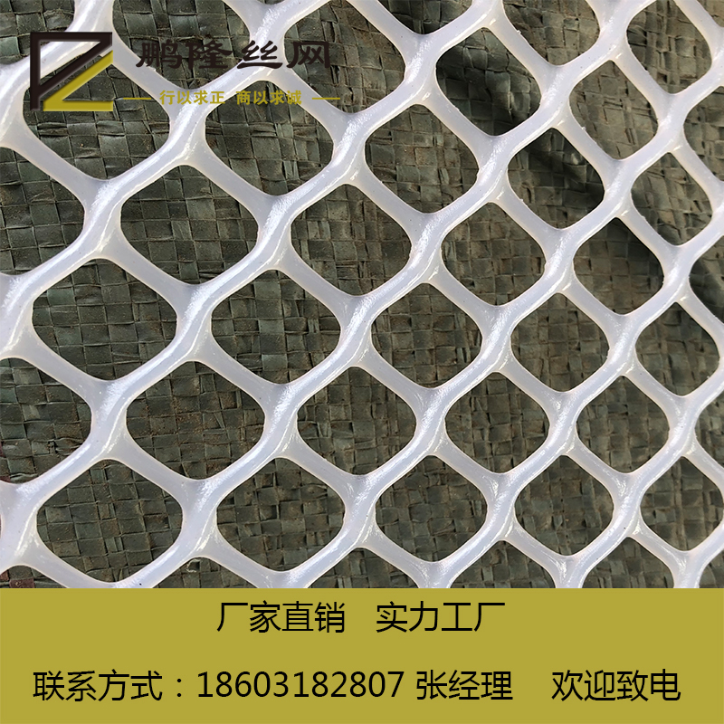 鹏隆丝网 厂家直销 塑料平网养殖用网塑料万能网图片