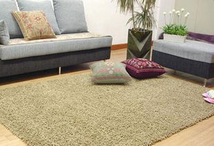 广州清洗地毯公司保洁服务多少钱一平 清洗地毯热线电话