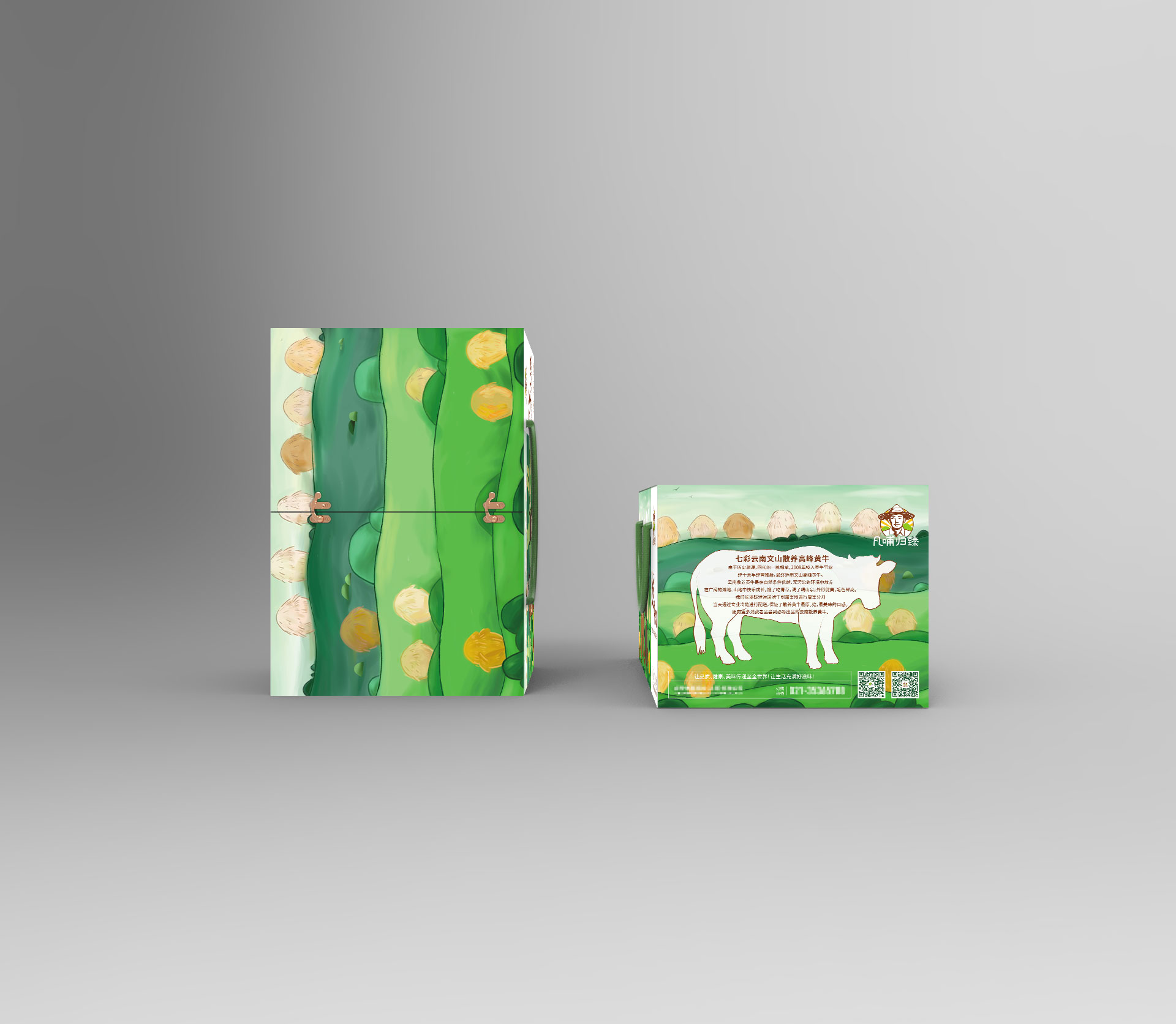 食品产品包装设计纸箱彩盒平面外包装原创定制图片
