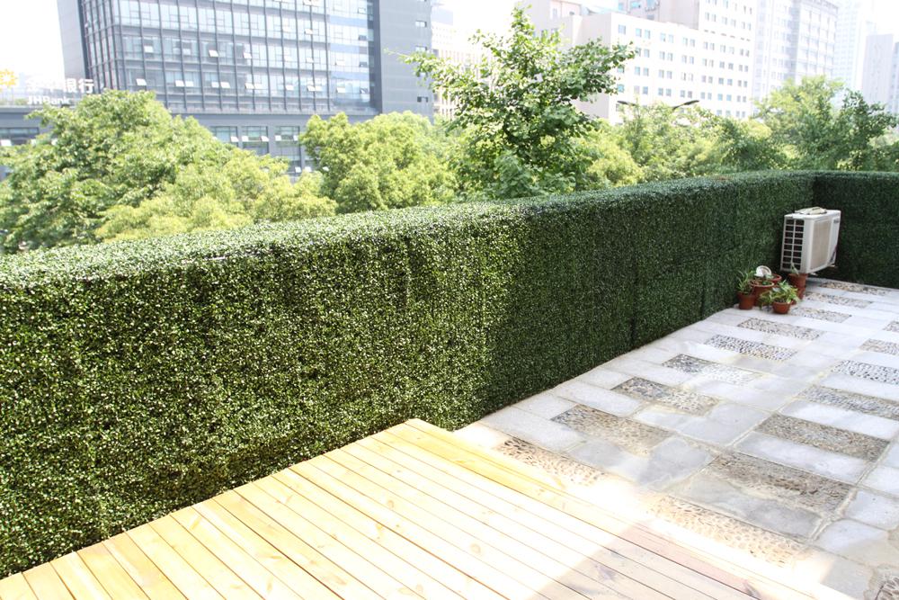 植物墙 仿真植物墙-仿真植物墙-绿植墙装饰绿色背景墙-门头墙面 植物墙 仿真植物墙