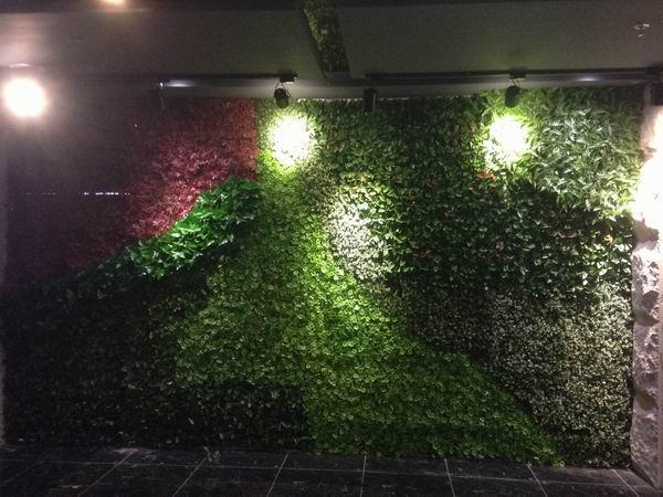 植物墙 仿真植物墙-仿真植物墙-绿植墙装饰绿色背景墙-门头墙面 植物墙 仿真植物墙