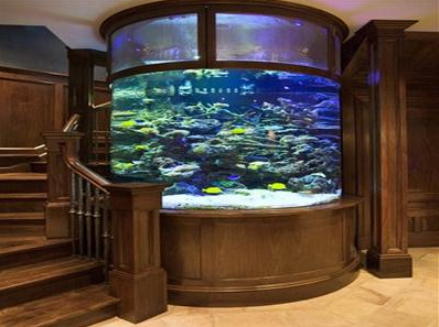 广州鱼缸定制、大型鱼缸订做、亚克力鱼缸设计、美人鱼海洋观赏鱼缸租赁