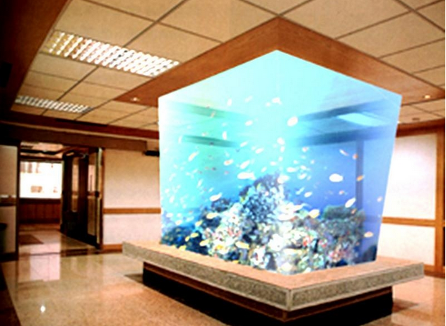 广州鱼缸定制、办公室鱼缸设计、家庭鱼缸订做