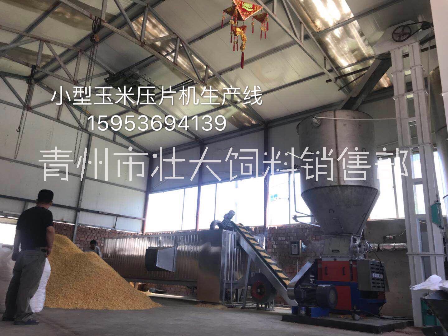 潍坊市内蒙小型蒸汽玉米压片机厂家