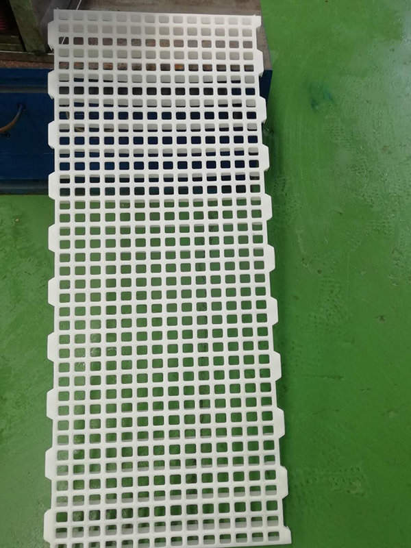 漏粪板猪羊场用塑料漏粪板 可防滑羊床猪床漏粪地板 塑料鹅用.漏粪板