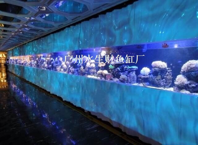 广州鱼缸造景，鱼缸水浑浊，定制鱼缸，定做鱼缸
