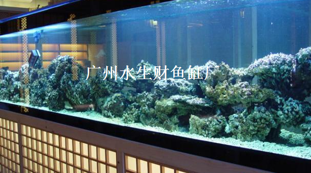 广州鱼缸造景，鱼缸水浑浊，定制鱼缸，定做鱼缸