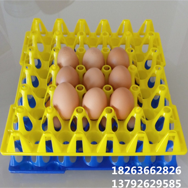 鸡蛋蛋托图片 防摔鸡蛋蛋托 鸡蛋盒托盘图片