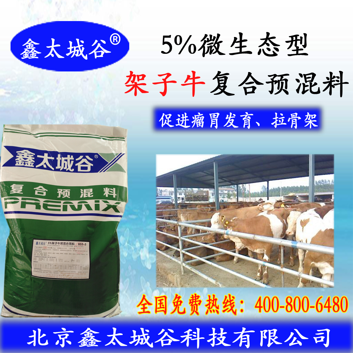 北京鑫太城谷微生态型加快骨骼生长的5%架子牛预混料