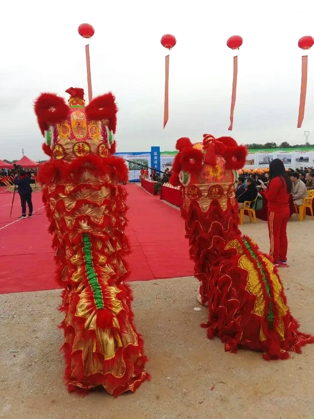 赣州 提供舞龙舞狮演出 杂技魔术 歌手舞蹈 开场舞蹈演出公司图片
