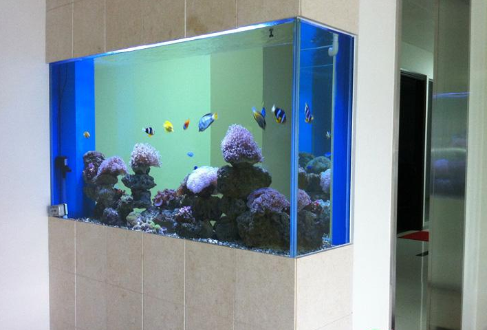 广州鱼缸设计*越秀区鱼缸订做*流花鱼缸制作*玻璃鱼缸