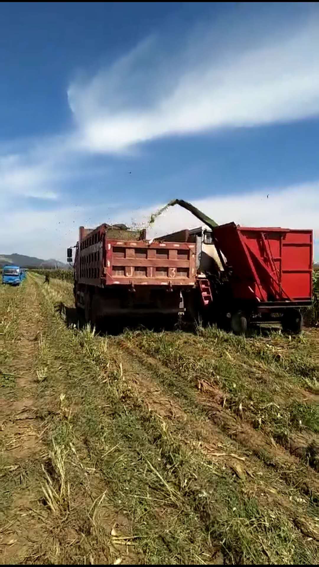 青贮玉米收割机 河北秸秆青储机厂家图片