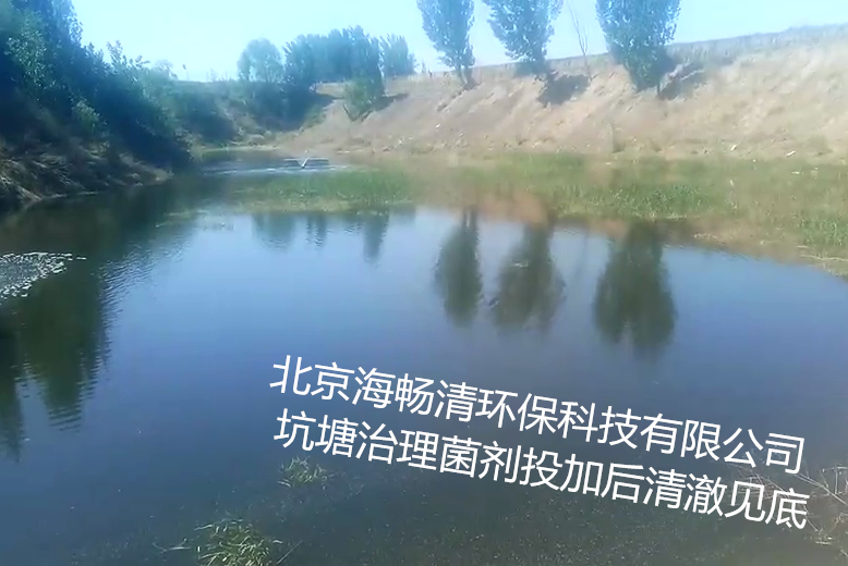 北京市污水处理微生物菌剂去除氨氮COD厂家污水处理微生物菌剂去除氨氮COD