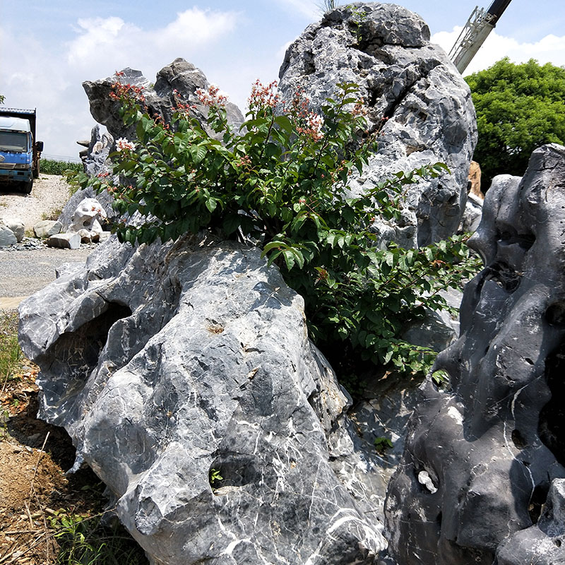 庭院景观石 太湖石假山 别墅花园鱼池园林景观设计大型太湖石