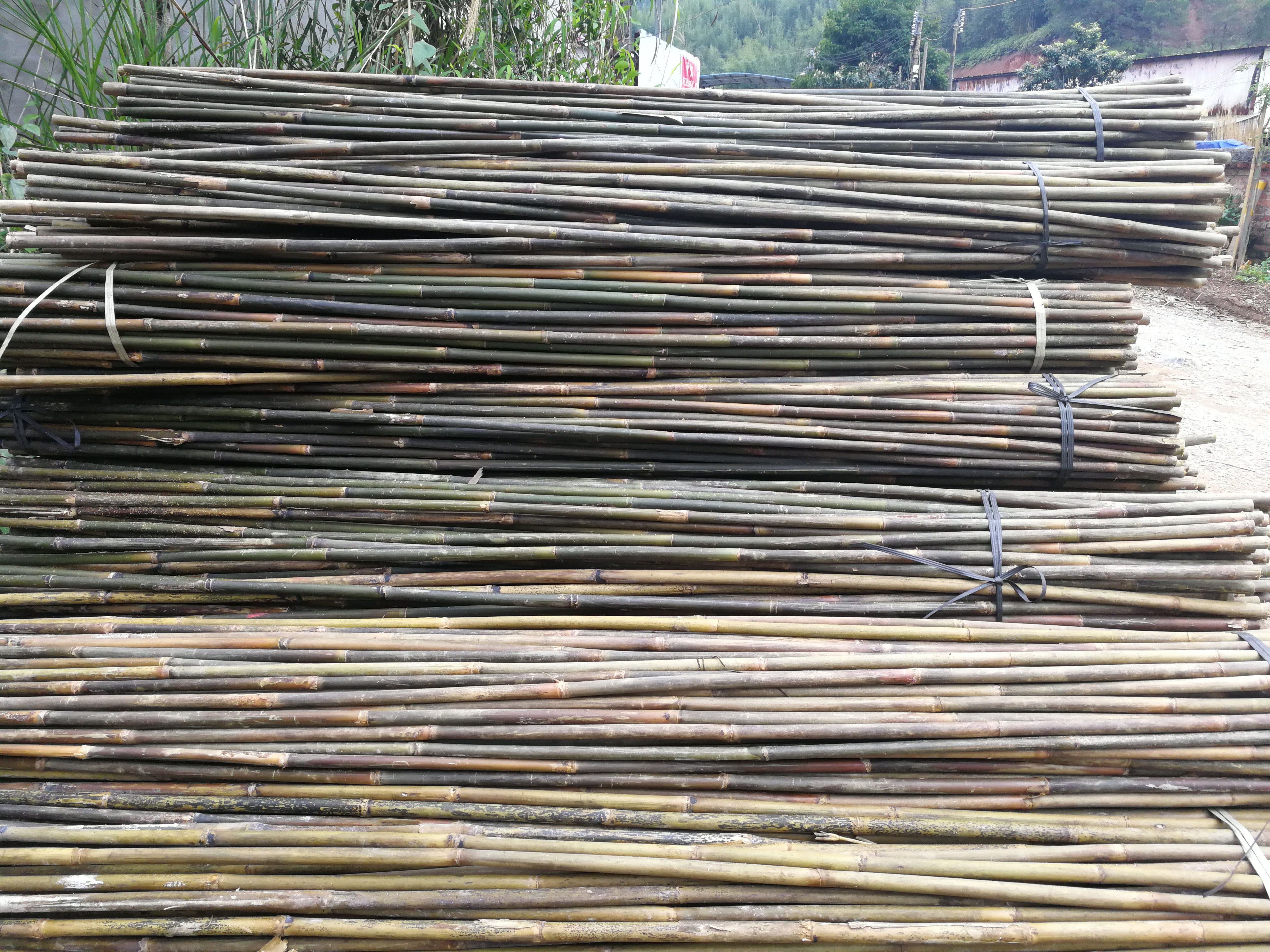 铁厘 种植用竹杆 植物支撑竹竿