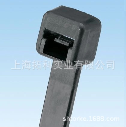 PANDUIT（泛达）钢卡齿扎带金属卡扣线束_ BT2S-M0/C0_4.7*203 mm