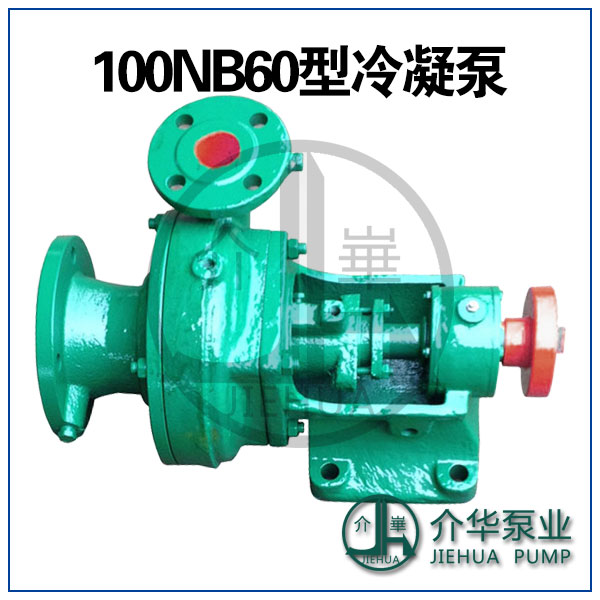100NB45型汽轮发电机用冷凝泵