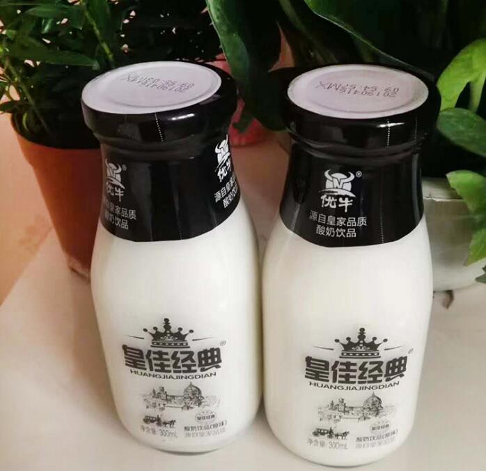 玻璃瓶发酵乳 皇佳经典乳酸菌新配方含乳饮料 1000ml*6大瓶装整箱乳酸菌饮料  优牛皇佳经典乳酸菌饮料厂家