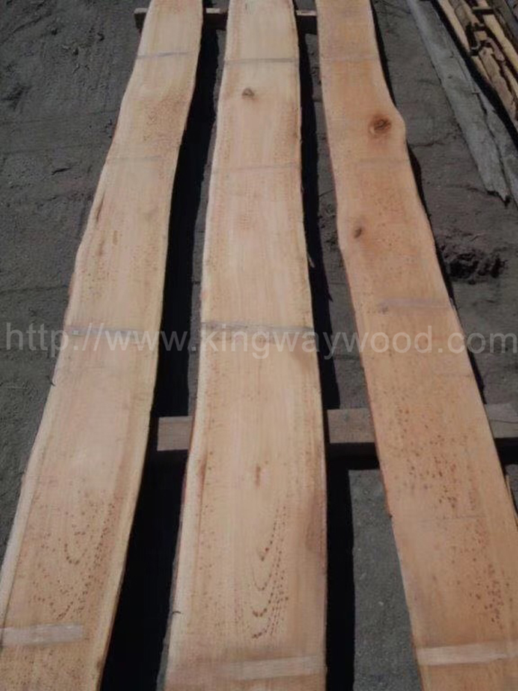 香港岛金威木业进口材 欧洲榉木 毛边板厂家