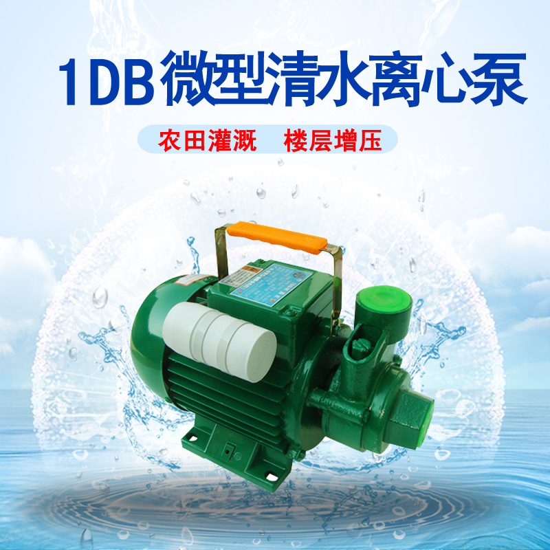 家用清水泵1DB-45微型自来水管道高扬程增压离心泵