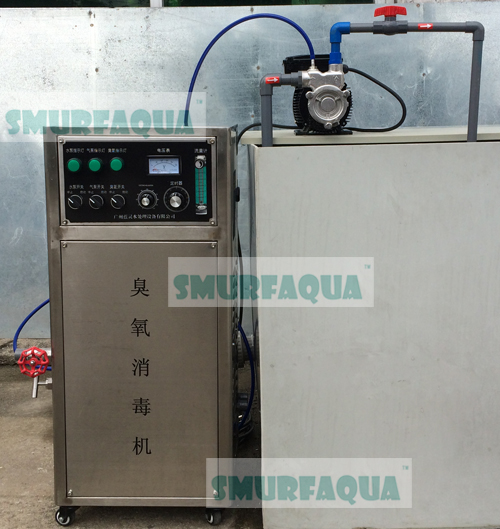 渔悦 水处理设备 一体化臭氧机ATOZ30 臭氧机器图片