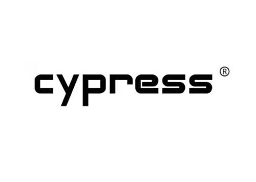柏丞Cypress一次性方形塑料培养皿10*10100格方形辅料培养皿13*13169格方形塑料培养皿